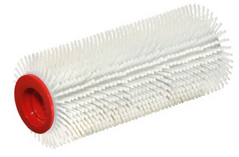 STACHELWALZE