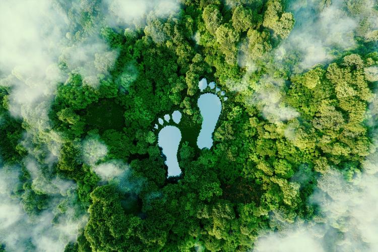 Il sistema produttivo Svizzera contribuisce alla trasparenza ambientale: SOPREMA si contraddistingue nel settore dell’edilizia per il suo ridotto impatto ambientale