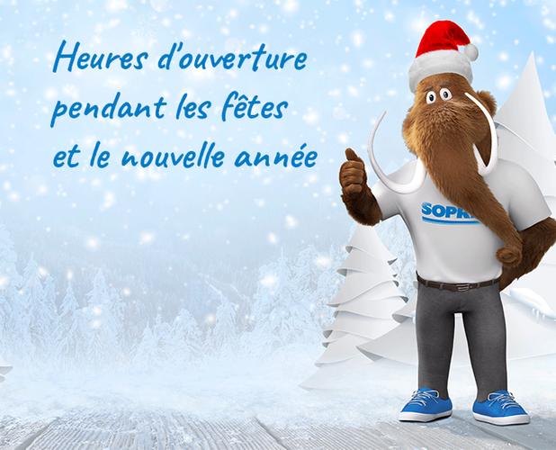 Heures d'ouverture pendant les fêtes et le Nouvel Année